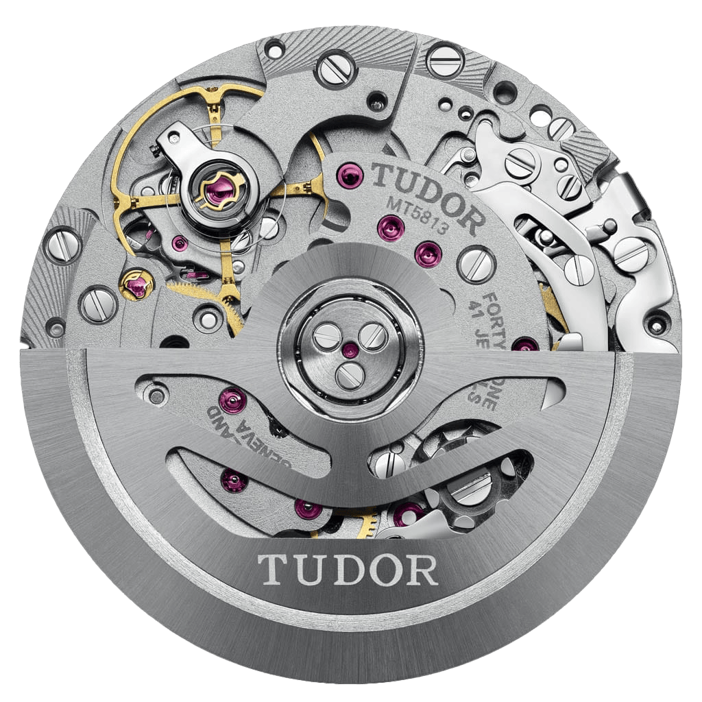 Tudor MT5813